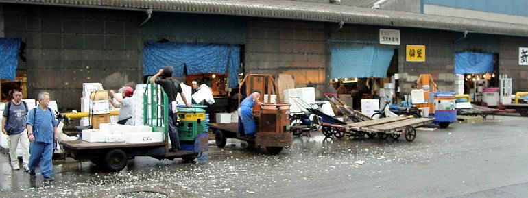 築地場内市場の朝の風景、魚介類のトロ箱が積み上げられている。